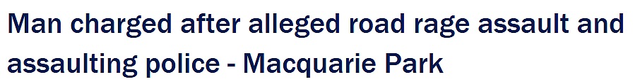 澳男在Macquarie Park街头抢手机、打警察！被电击枪放倒（图） - 1