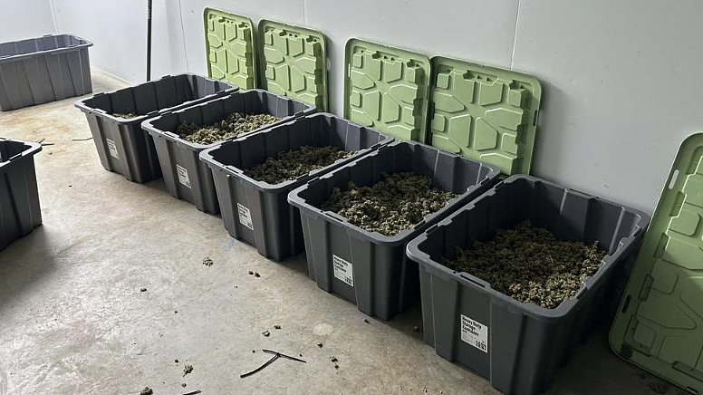 维州警方重拳出击破获国际贩毒集团，突袭多个集装箱查获$70万大麻及$20万现金，逮捕三名男子（组图） - 5