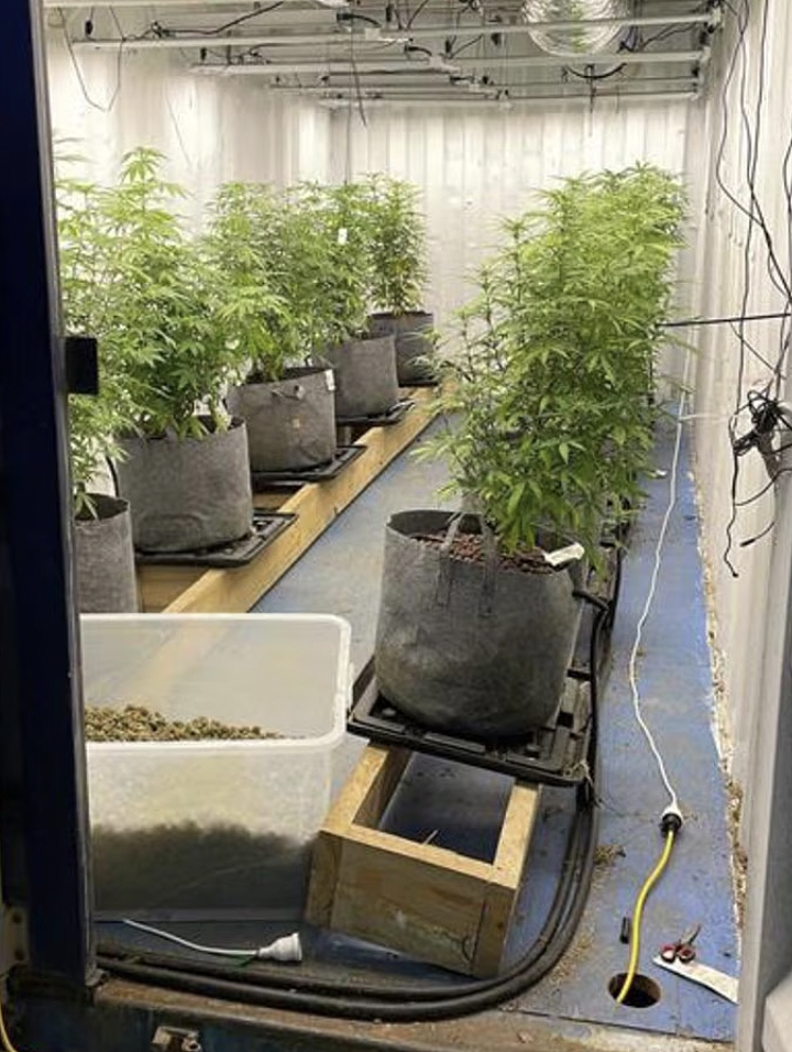 维州警方重拳出击破获国际贩毒集团，突袭多个集装箱查获$70万大麻及$20万现金，逮捕三名男子（组图） - 4