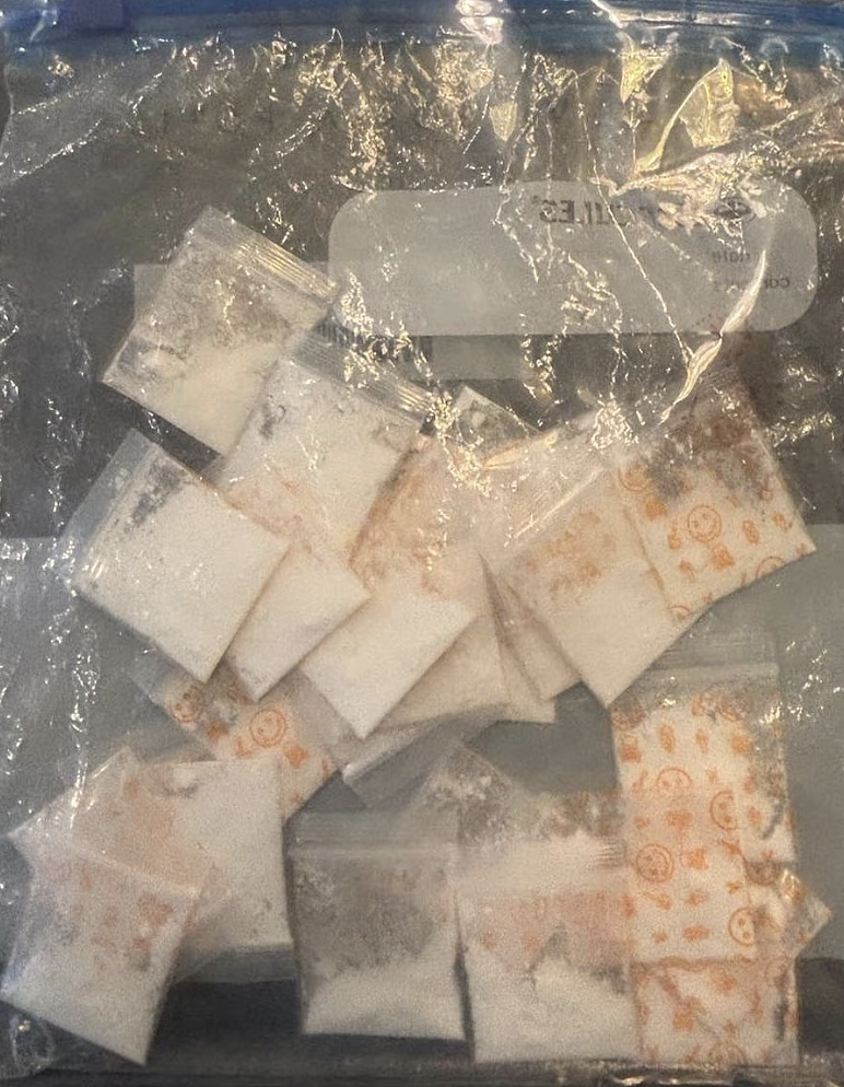 维州警方重拳出击破获国际贩毒集团，突袭多个集装箱查获$70万大麻及$20万现金，逮捕三名男子（组图） - 6
