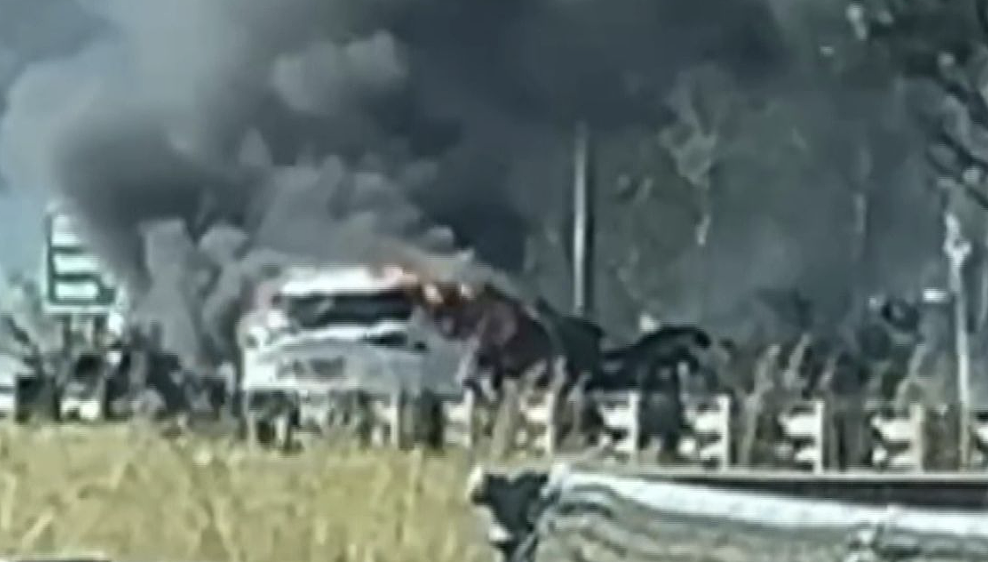 新州Pacific Highway发生致命车祸!南向交通中断数小时,驾驶员请紧急绕行(组图) - 3