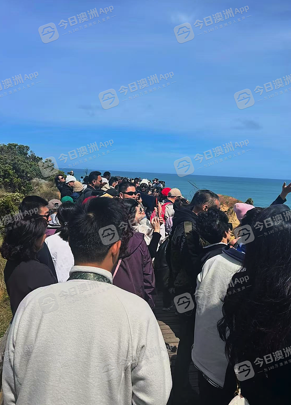 “感觉出国了，但没完全出！”中国游客十一长假“挤爆”澳洲！旅游从业者：“老天爷喂饭到快撑死”（视频/组图） - 2