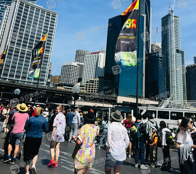“感觉出国了，但没完全出！”中国游客十一长假“挤爆”澳洲！旅游从业者：“老天爷喂饭到快撑死”（视频/组图） - 9