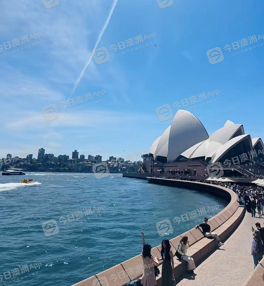 “感觉出国了，但没完全出！”中国游客十一长假“挤爆”澳洲！旅游从业者：“老天爷喂饭到快撑死”（视频/组图） - 6