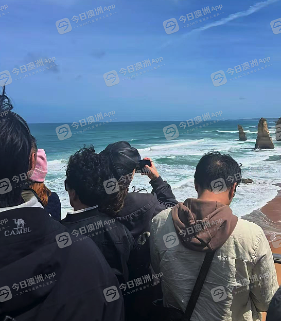 “感觉出国了，但没完全出！”中国游客十一长假“挤爆”澳洲！旅游从业者：“老天爷喂饭到快撑死”（视频/组图） - 3