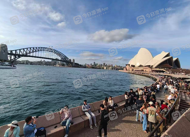 “感觉出国了，但没完全出！”中国游客十一长假“挤爆”澳洲！旅游从业者：“老天爷喂饭到快撑死”（视频/组图） - 5