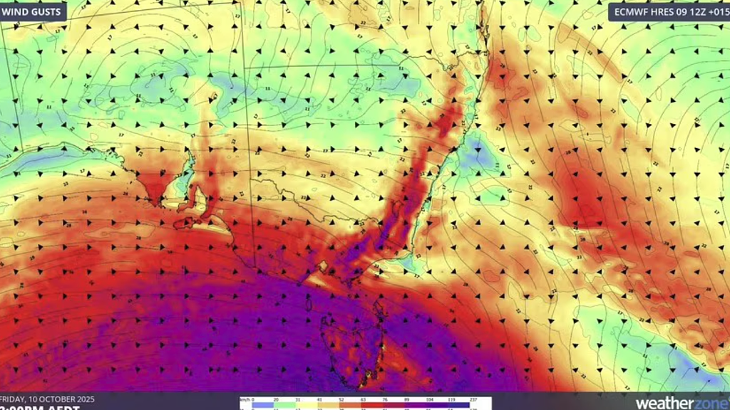 狂风来袭！澳洲多地发布恶劣天气预警，新州、维州受影响（组图） - 1