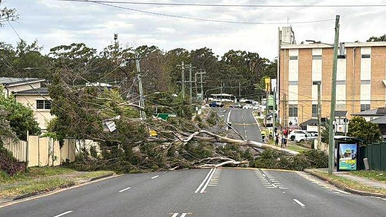 “妖风”横扫悉尼!树木倒伏致多地交通拥堵,大批居民断电,1女子触电送医(组图) - 5
