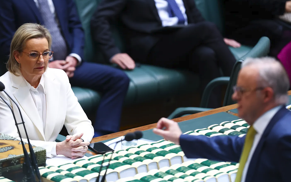 仅33%选民认可！党魁Sussan Ley陷信任危机，自由党内斗她背锅？（组图） - 1