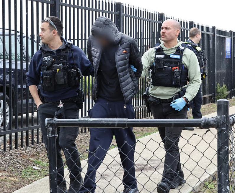 应对犯罪率上升，维州宣布重大警务改革，推动更多警力上街（组图） - 4