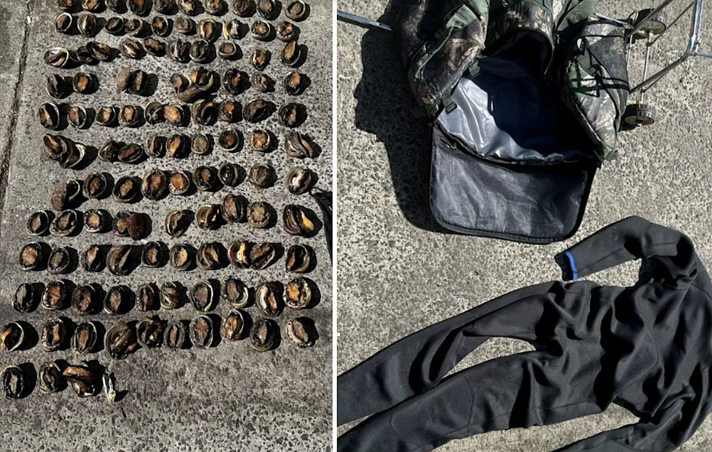 非法捕捞超100只鲍鱼,澳男遭重罚$5000!5项罪名成立(组图) - 2