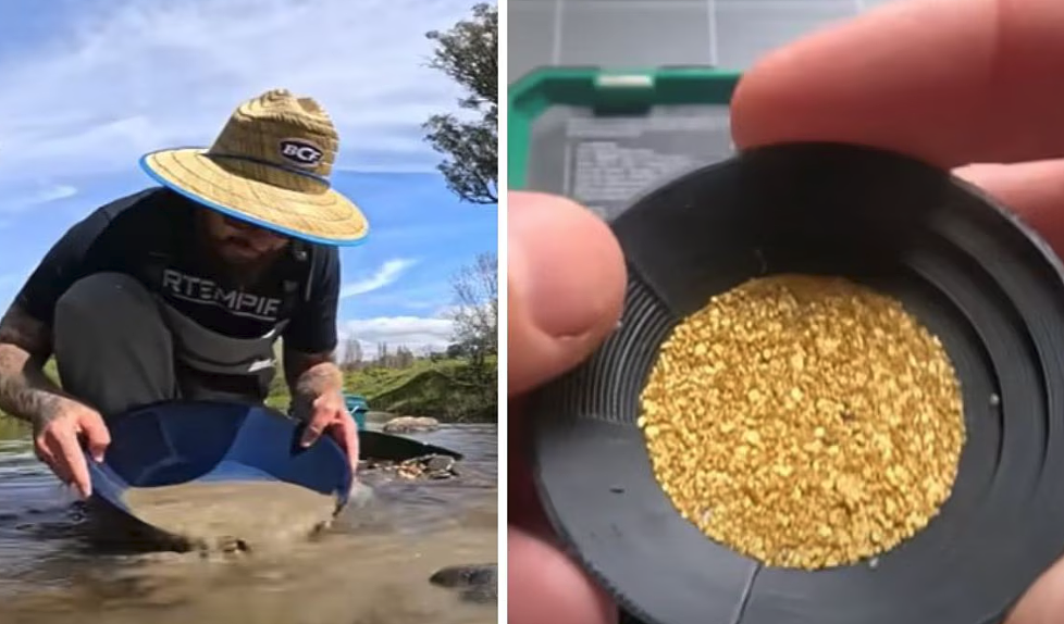“简直是白捡的钱!” 澳男小溪淘金,3小时赚$1000(组图) - 2