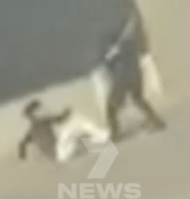 禁售砍刀后暴力依旧？墨尔本购物中心再发砍刀袭击，刀具收缴行动面临考验（组图） - 2