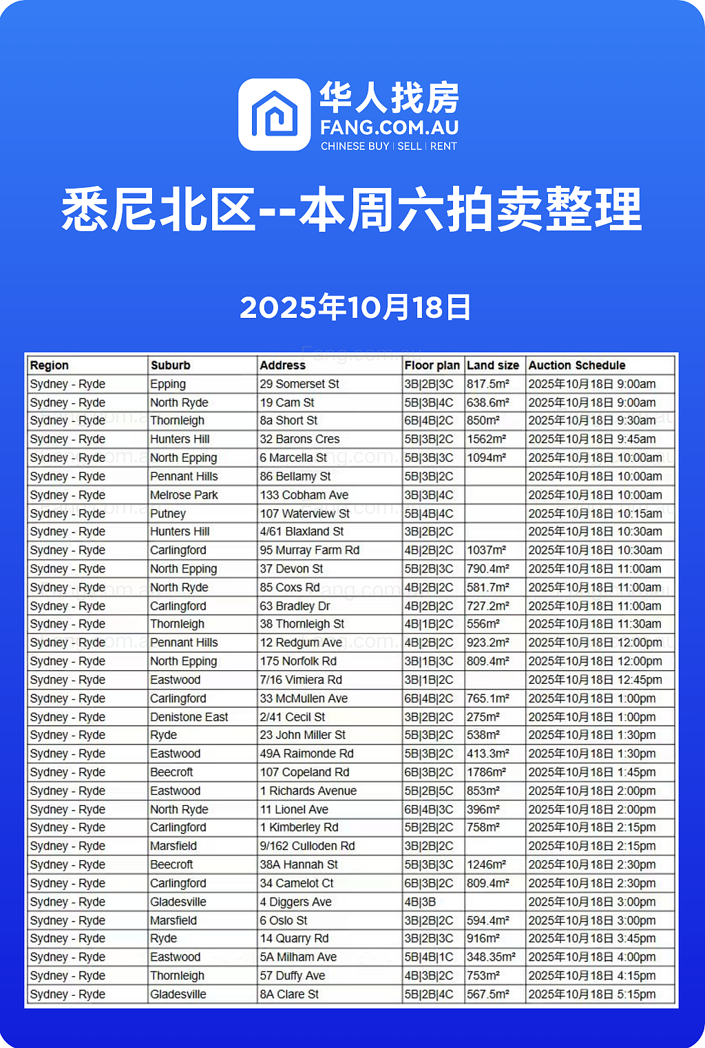 直击悉尼周末拍卖现场，拍卖结果实时更新！（组图） - 9