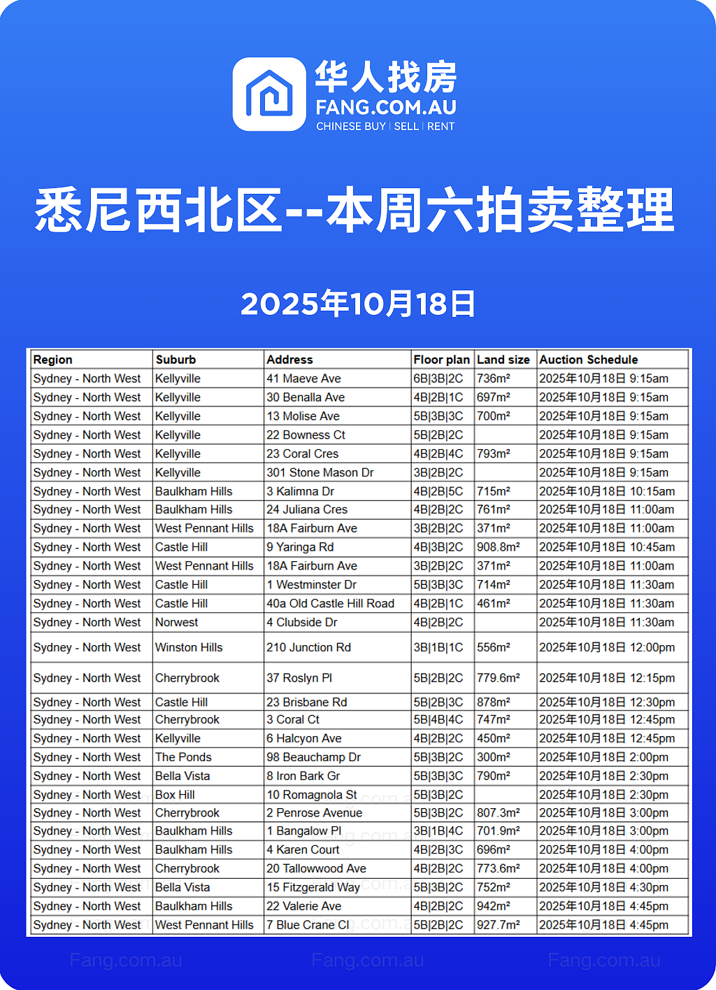 直击悉尼周末拍卖现场，拍卖结果实时更新！（组图） - 10