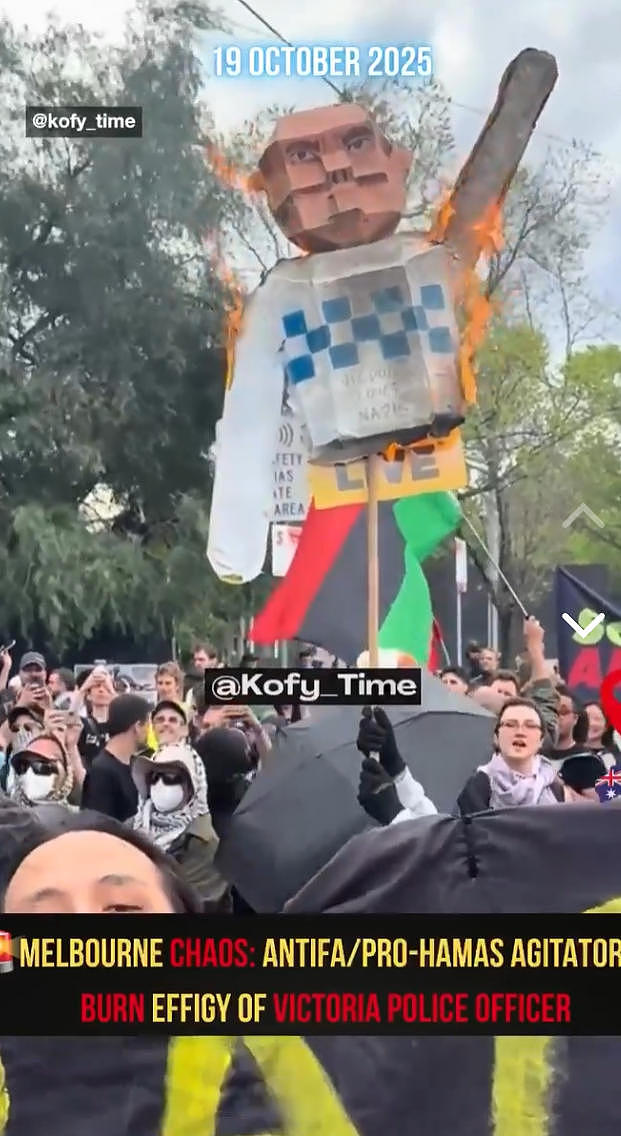 现场视频曝光！澳洲反移民游行爆发激烈冲突，警方朝抗议者扔闪光弹，“他们就想找警察打架”（视频/组图） - 8