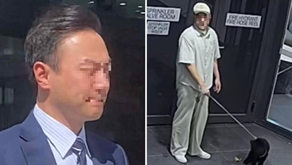 拎起往墙上摔!澳华男虐待前女友宠物狗,监控拍下残忍一幕(组图) - 3