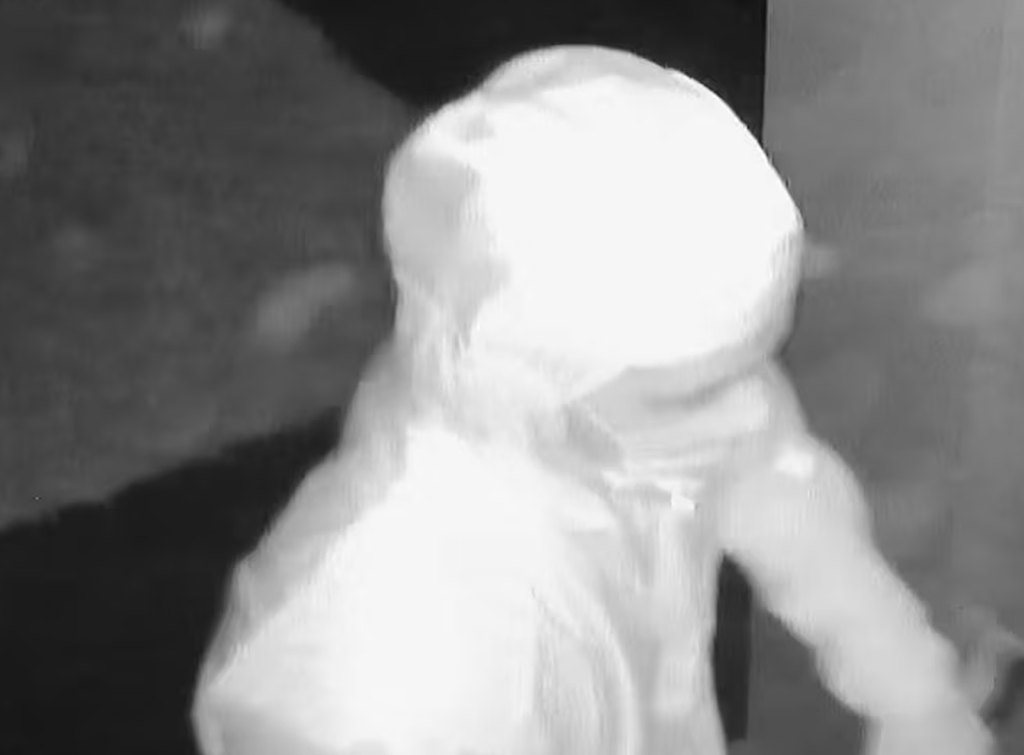 5人深夜强闯悉尼民宅!手持刀枪砸门,目前仍在逃,警方急寻知情者(组图) - 6