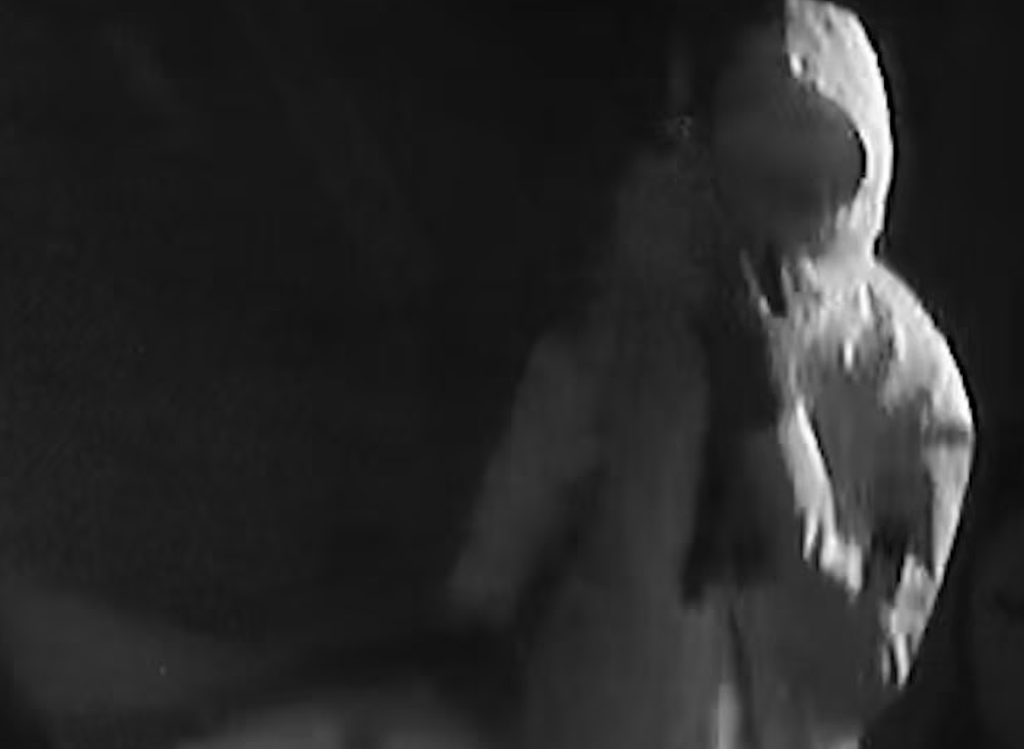 5人深夜强闯悉尼民宅!手持刀枪砸门,目前仍在逃,警方急寻知情者(组图) - 7