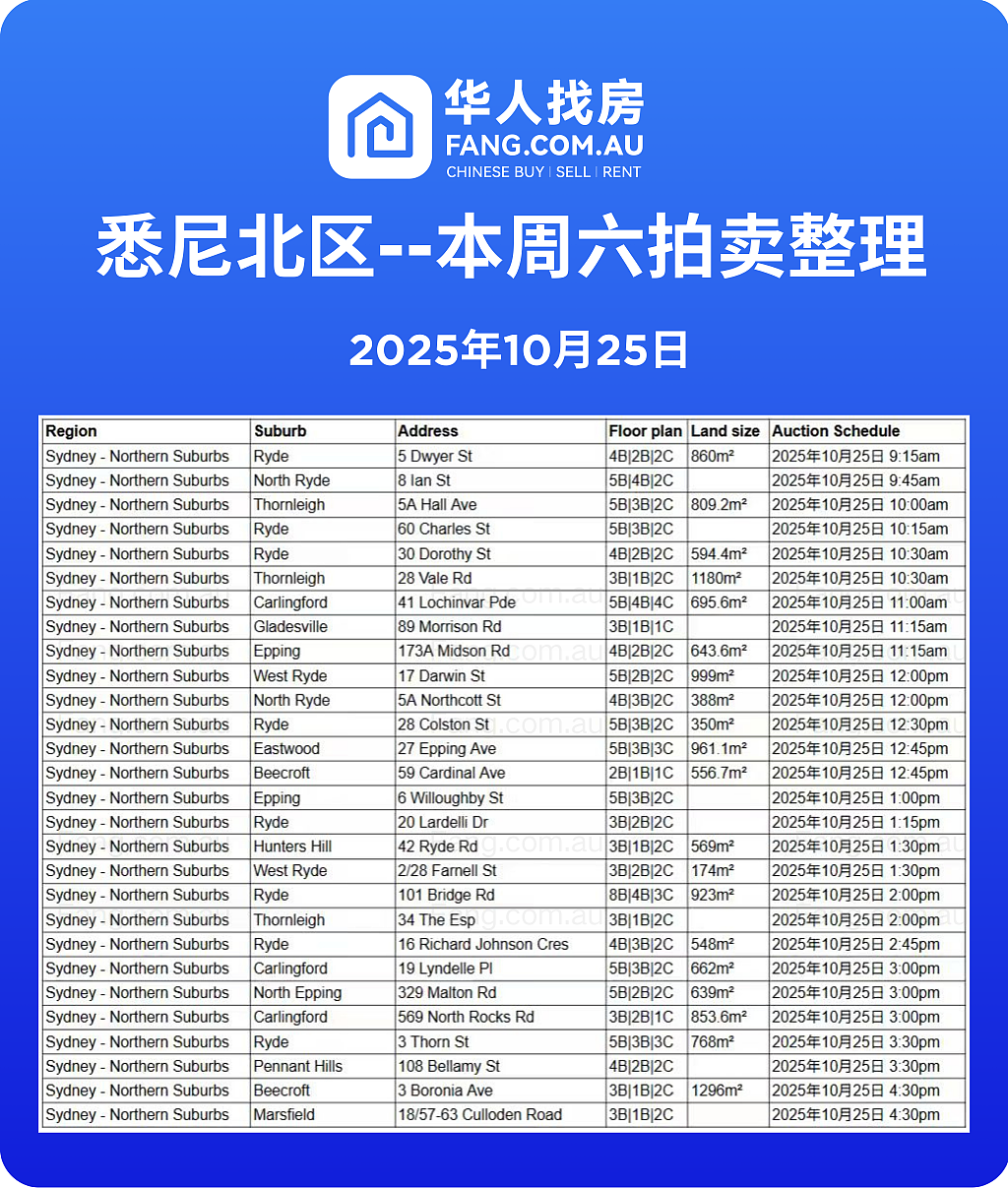 直击悉尼周末拍卖现场，拍卖结果实时更新！（组图） - 6