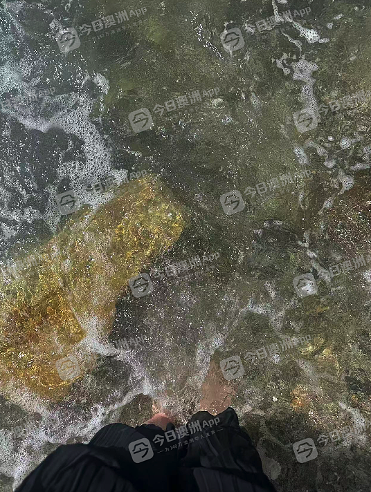 “澳洲梦”渐行渐远!5%首付政策推高澳洲房价,中年华人放弃买房:“先过好今天”(视频/组图) - 2