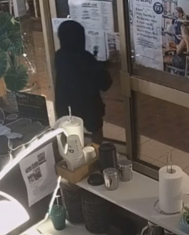 新州teenager犯罪浪潮引法律争议，受害者疾呼：“犯成人的罪，就该担成人的刑”（组图） - 3
