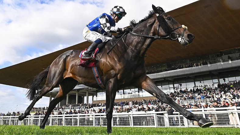 2025年墨尔本杯！女骑师创造澳洲历史，14号“Half Yours”夺冠（视频/组图） - 12