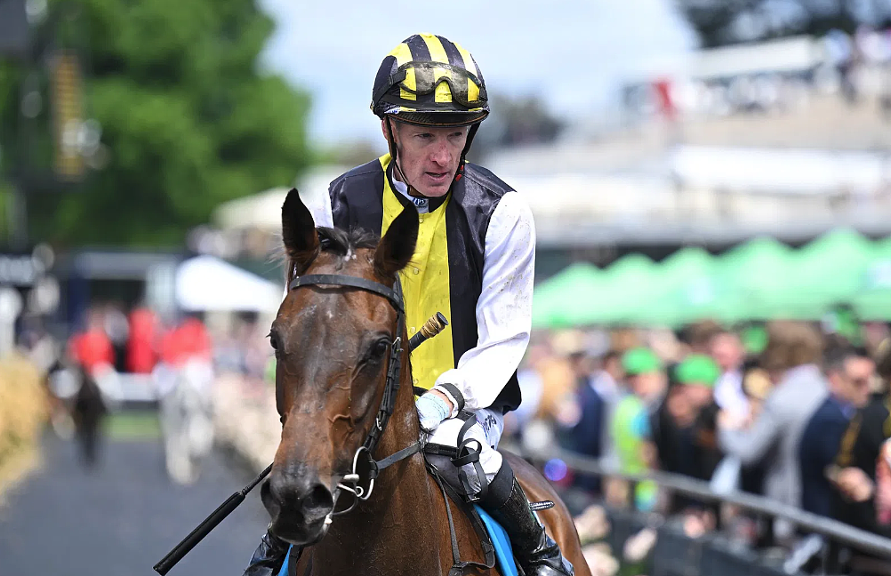 2025年墨尔本杯！女骑师创造澳洲历史，14号“Half Yours”夺冠（视频/组图） - 9