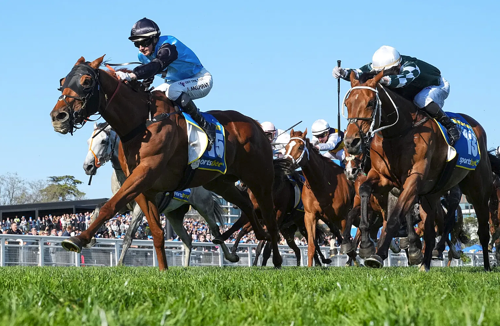 2025年墨尔本杯！女骑师创造澳洲历史，14号“Half Yours”夺冠（视频/组图） - 8