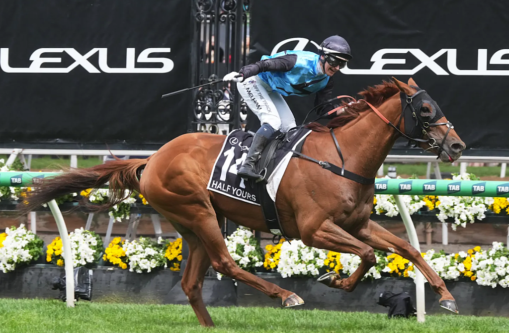 2025年墨尔本杯！女骑师创造澳洲历史，14号“Half Yours”夺冠（视频/组图） - 2