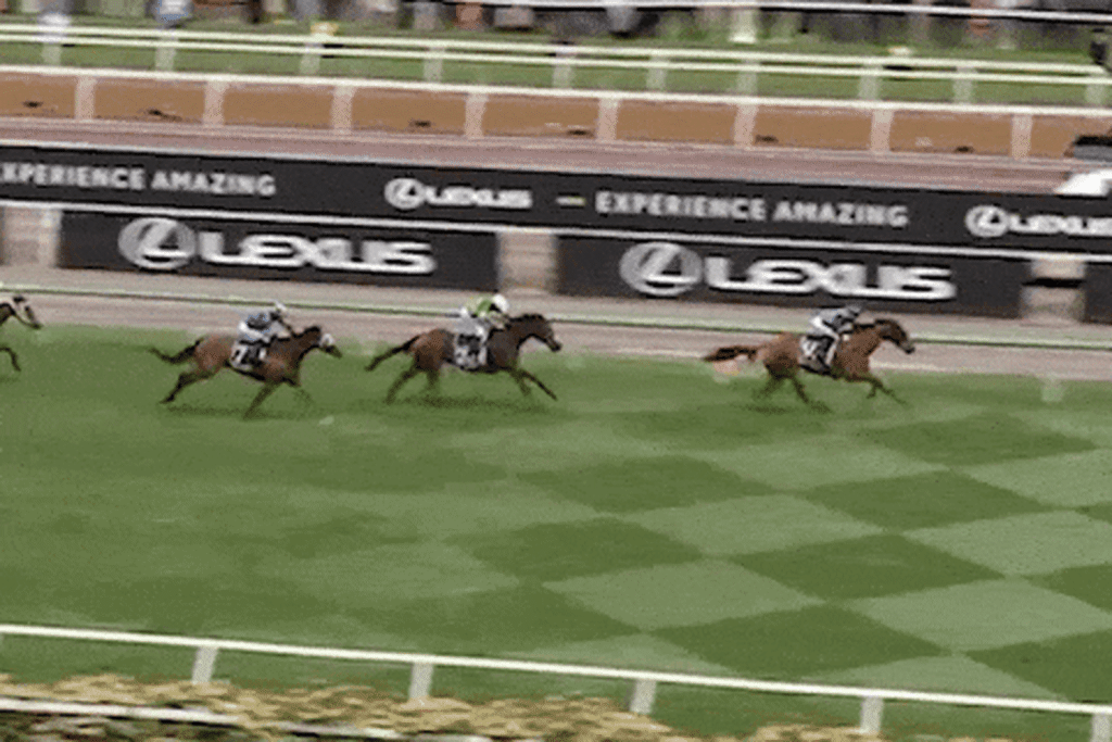 2025年墨尔本杯！女骑师创造澳洲历史，14号“Half Yours”夺冠（视频/组图） - 6