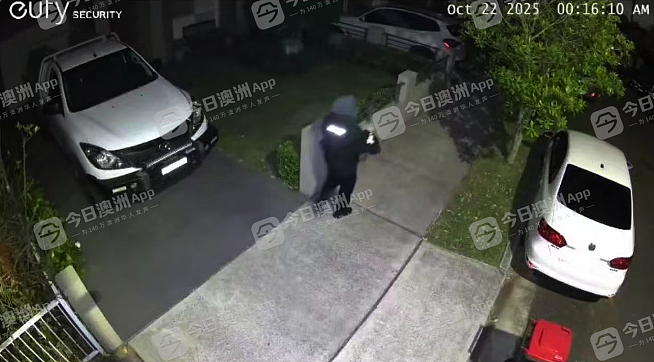 “防不胜防!”澳洲华人区盗车案频发,华人车主损失惨重!窃贼掌握智能技术,“几秒钟内无声解锁”(组图) - 2
