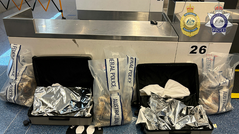 女子入境澳洲，在机场当场被扣！行李箱中查获大批违禁品，价值$3600万（组图） - 2