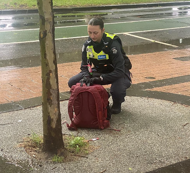 维州国家美术馆外惊现可疑包裹!周边被疏散封锁,拆弹小组紧急出动(组图) - 2