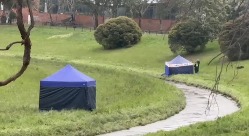 墨尔本溪流酿悲剧！一女子与一儿童被湍急河水冲走，两人不幸当场身亡（组图） - 3