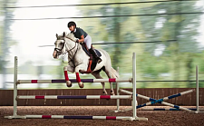 一年“烧掉”几十万，中产养娃盯上了骑马，马背上坐满了10后（图）