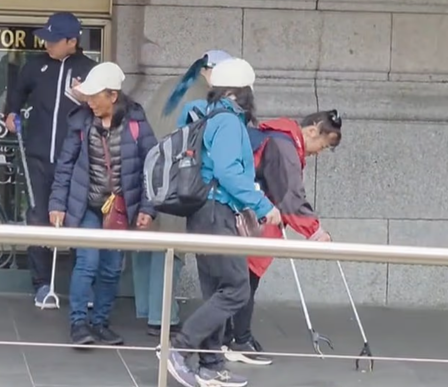 一群日本游客在澳知名景点干这事，本地人直呼尴尬！“居然还要别人来做”（图） - 1