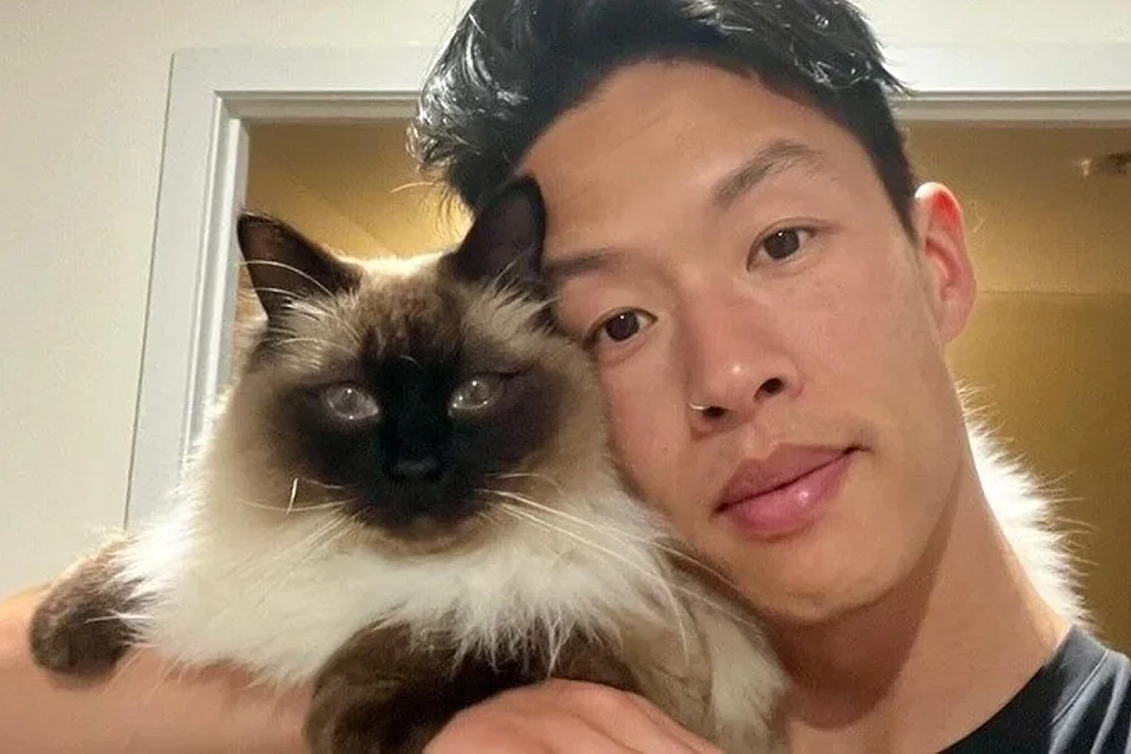 心碎！澳洲华男爱猫误食百合身亡，善意礼物竟成夺命陷阱（组图） - 1