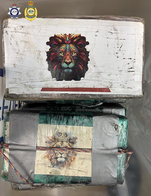 贩毒集团新流程：藏毒马达，闯入码头取货！澳警方一个月截获145公斤可卡因（组图） - 3