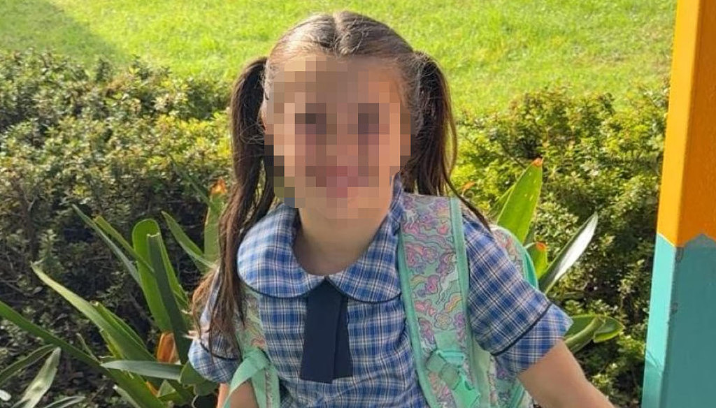 悉尼公校门口事故频发!多名学生被撞,5岁女生重伤不治!家长发起请愿(组图) - 3