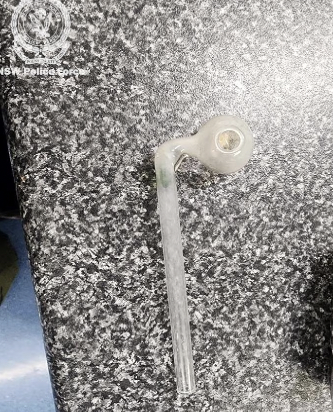 新州家暴危机触目惊心！女子为逃伴侣跳河求生，警方四天逮捕752名施暴者（组图） - 7