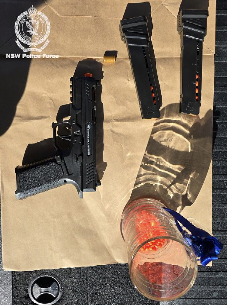 新州家暴危机触目惊心！女子为逃伴侣跳河求生，警方四天逮捕752名施暴者（组图） - 6