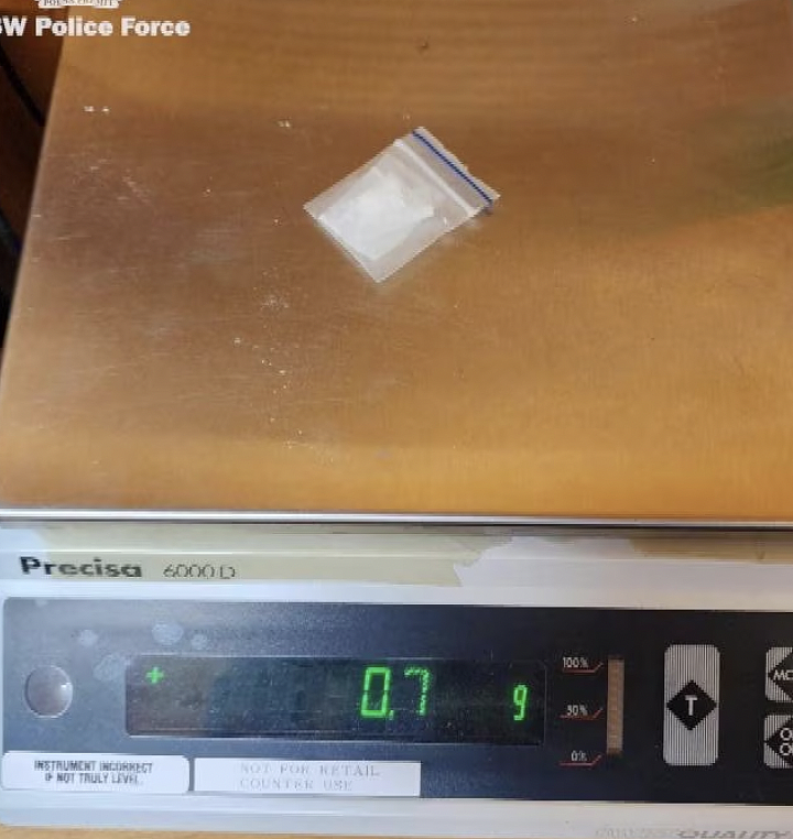 新州家暴危机触目惊心！女子为逃伴侣跳河求生，警方四天逮捕752名施暴者（组图） - 8