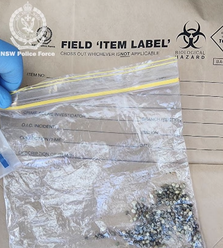 新州家暴危机触目惊心！女子为逃伴侣跳河求生，警方四天逮捕752名施暴者（组图） - 9