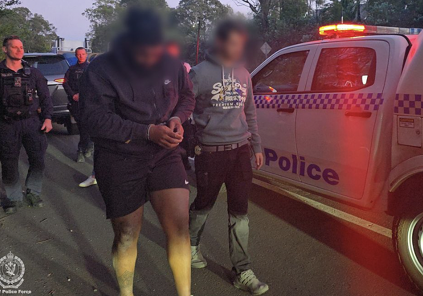 悉尼警方破获青少年帮派贩毒网!查获40公斤毒品价值$1250万,三名成员被控(组图) - 4