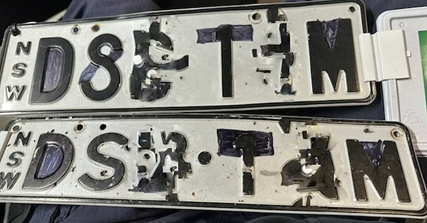 价值$562的一课！车牌沾满虫尸，新州司机因“污损车牌”被重罚（组图） - 3
