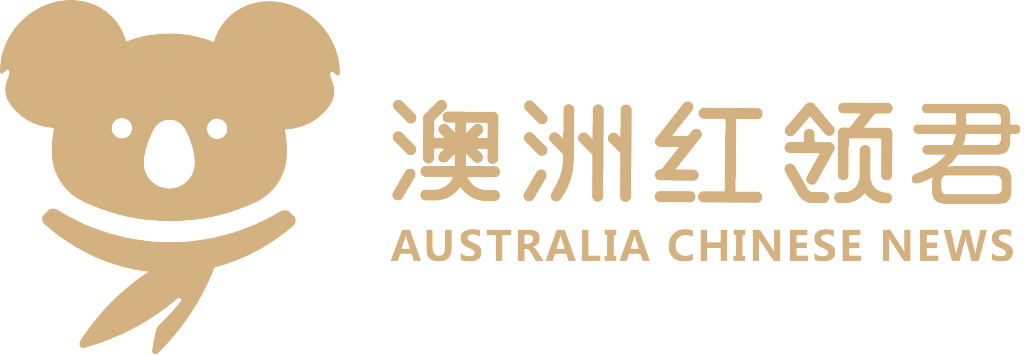 AWDPI 澳大利亚正式启动｜《你并不孤单》反家暴手册发布 X 反家暴圆桌论坛 - 10