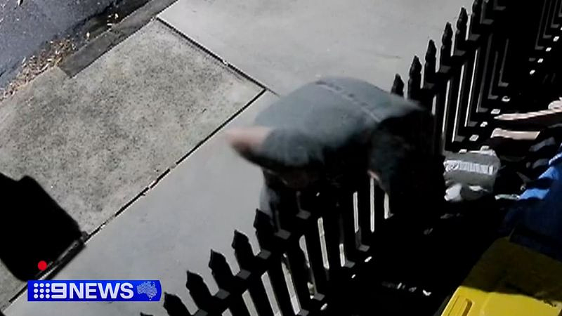 悉尼两只哈巴狗凌晨被偷!主人悬赏$5000疯找,警方锁定可疑男子(视频/组图) - 3