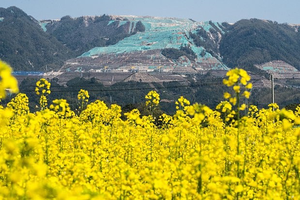 锂价突然跳水！中国巨头拟重启矿山引发市场震荡（组图） - 2