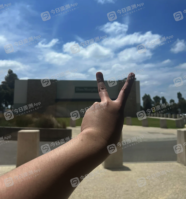 “一个人已足够完整！“澳洲华人独身主义者的告白：“单身不是失败，而是自由”（组图） - 4
